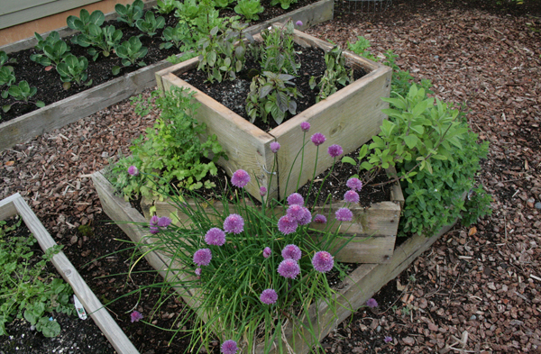 HerbGarden