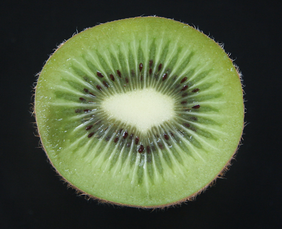 Kiwi Portrait-4448