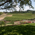 Stunning Vistas and Amazing Wines Await You at Elk Cove Vineyards