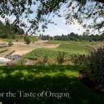 Elk Cove Vineyards