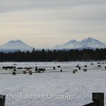 Three Sisters