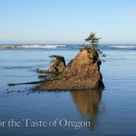 Siletz Bay