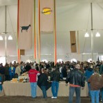 cheese-festival-main-tent