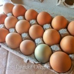 O the Joy of Farm-fresh Eggs