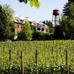 Beyond brews: McMenamins has history in wine, too